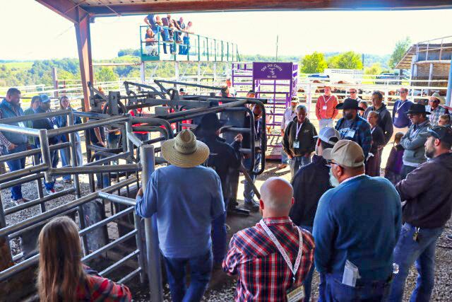 Lessons on the fine points of perfect hot iron branding by Doug Burris are always popular.