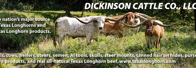 Used courtesy of Dickinson Cattle Co. USA