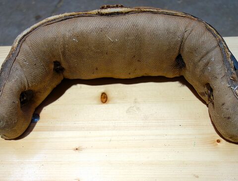 Stirnjoch von hinten, Polsterseite