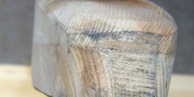 Jochbaum für australisches Widerristdoppeljoch, seitlich