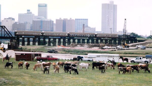 ITLA first Drovers Cattle Drive