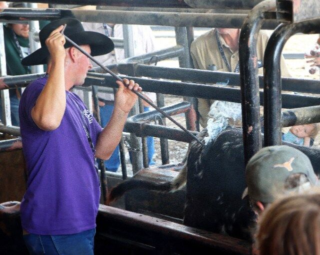 Bring your calves to brand.