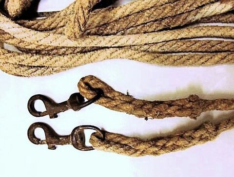 Wirbelkarabiner in das Seil eingeflochten