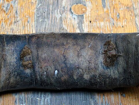 rotes Stirnjoch aus Lorsch von hinten