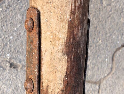 Seitenende Brustscheit