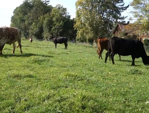 hab ich was verpasst?