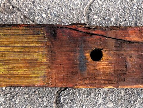 hinteres Ende der Deichsel (Deichselfuß)