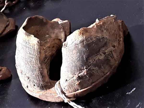 geschlossenes Eisen mit Klauenschuhen aus dem Landwirtschaftsmuseum Hilchenbach-Hadem geschlossenes Eisen mit Klauenschuhen aus dem Landwirtschaftsmuseum Hilchenbach-Hadem