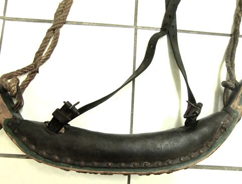 Kuhbogen von oben mit Schnallen der Hornriemen