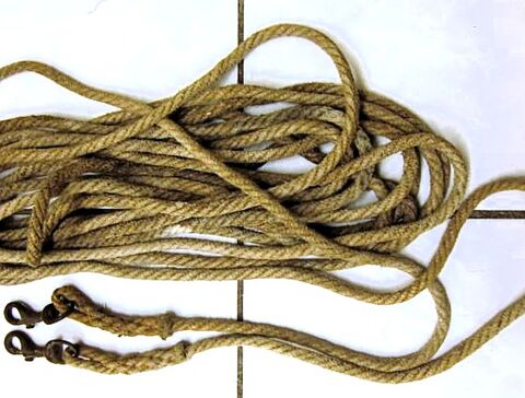 Hanfleine für Einspänner