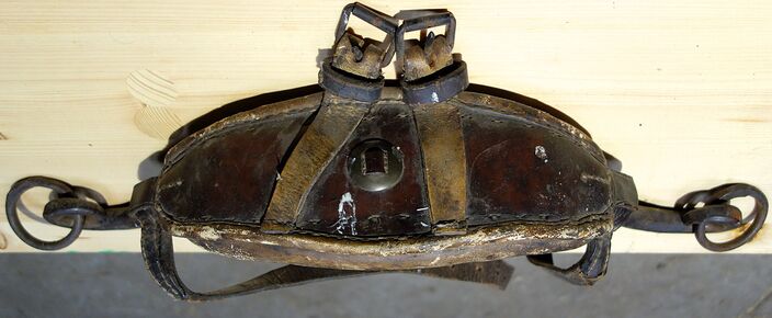 Stirnjoch aus Lorsch von vorn, mit Leder überzogener Eisenbügel, Hornriemen schließen mittig