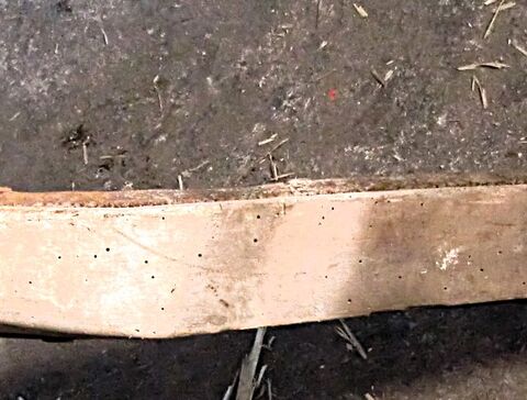 Deichsel, hinteres Ende mit Stecker für einspännig fahren; Eisenverstärkung mit Klammer