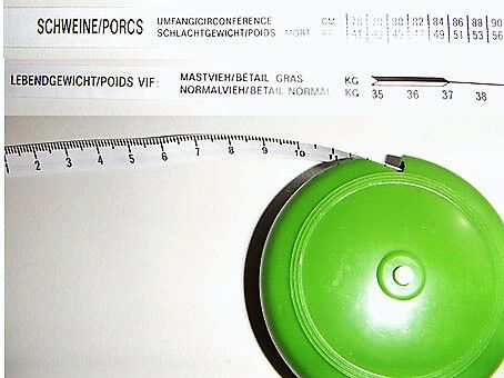 noch ein Maßband, ein sogenanntes "Animeter", auf der einen Seite Schweine, auf der anderen Rinder: