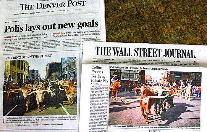 After that 1988 cattle drive in Colorado Springs (the first major city drive since 1866), many herds have trod through more cities and even small burgs. The biggest, most publicized event is the annual National Western Stock Show’s “Kick-0ff Parade”
