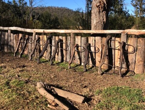 Bullockie-Treff 2024 auf der Gleneden Farm, Maryvale, Queensland, Australien