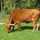 Oktober 2025: laß ich mich beim Fressen stören? nur wegen so einem Bild??