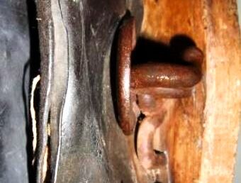 Pratze kombiniert mit D.R.G.M.-Zughaken