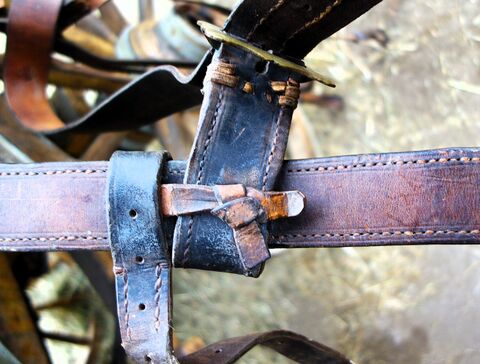 linker Strang mit Befestigung von Überwurf und Bauchgurt