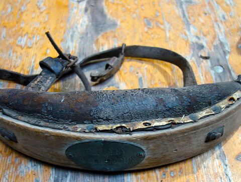 Stirnjoch des Georg Ley, Wallhausen, Württemberg von oben