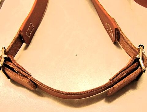 kleines Riemchen um die rechte und linke Leine zusammenzuhalten