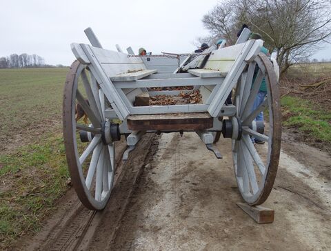Sitzbänke im Truhenwagen