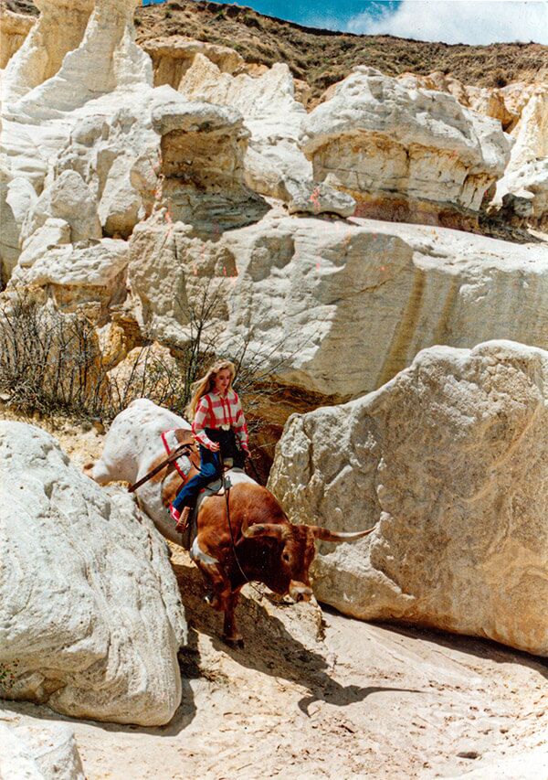 Zhivago, ridden by Dela Dickinson Lenz. Not traditional. Zhivago, ridden by Dela Dickinson Lenz. Not traditional.