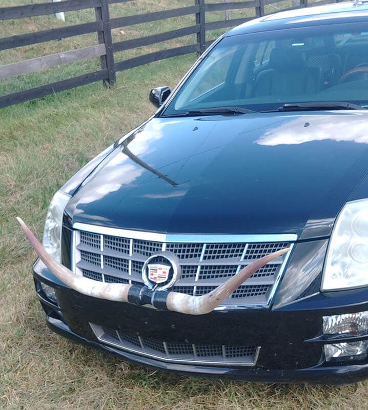 Every Cadillac should have it's own horns. Don't leave home without them.