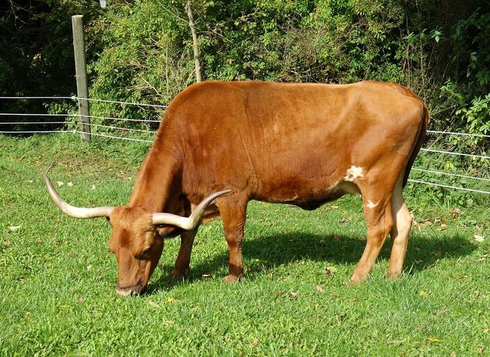 Oktober 2025: laß ich mich beim Fressen stören? nur wegen so einem Bild??