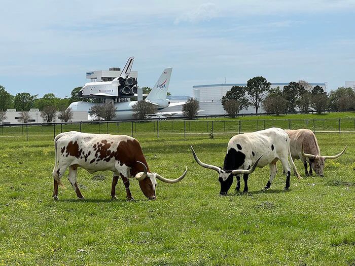 Here’s another modern instance of creative promotion. Since its founding in 1958, the National Aeronautics and Space Administration (NASA) has pushed the boundaries of scientific and technical limits to explore the unknown for all the citizens