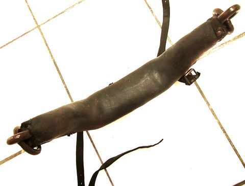 Stirnjoch aus Langenselbold für Kühe von hinten