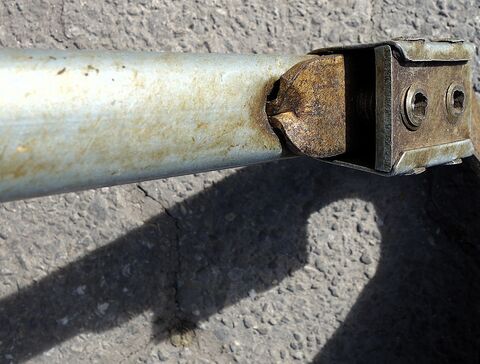 Sensenring und Warze