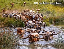The front cover was captured along Muskrat River in the Appalachian foothills of Barnesville, Ohio. It shows a Dickinson Cattle Co herd fording the river with Jam Box and his cows. The front cover was captured along Muskrat River in the Appalachian foothills of Barnesville, Ohio. It shows a Dickinson Cattle Co herd fording the river with Jam Box and his cows.