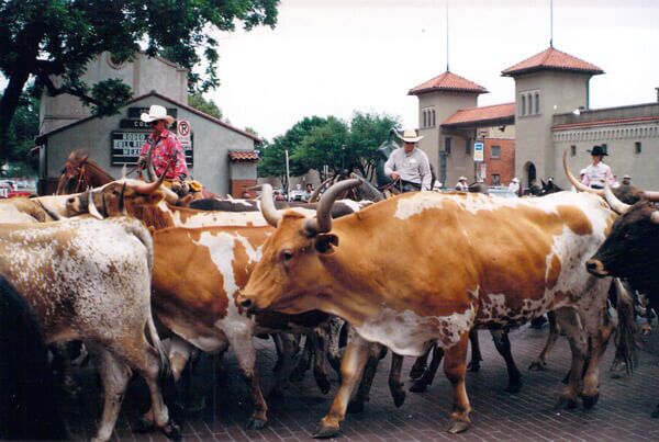 Exchange Avenue to the Stock Yards corrals