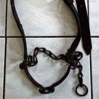 Kettenhalfter mit Lederriemen