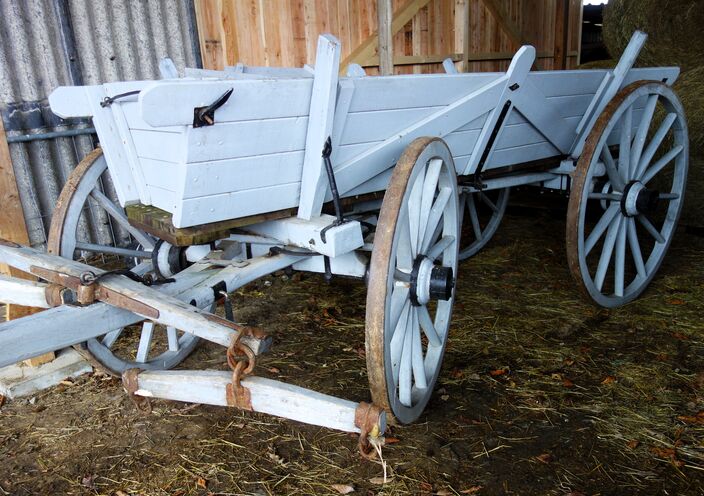 Truhenwagen aus Hüttenberg bei Wetzlar, Hessen