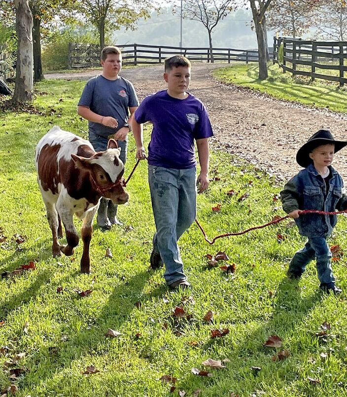 Surprise to the calf, the younger cow hands brought an unknowing volunteer for the "hog tying" demo. It seemed easy at first.