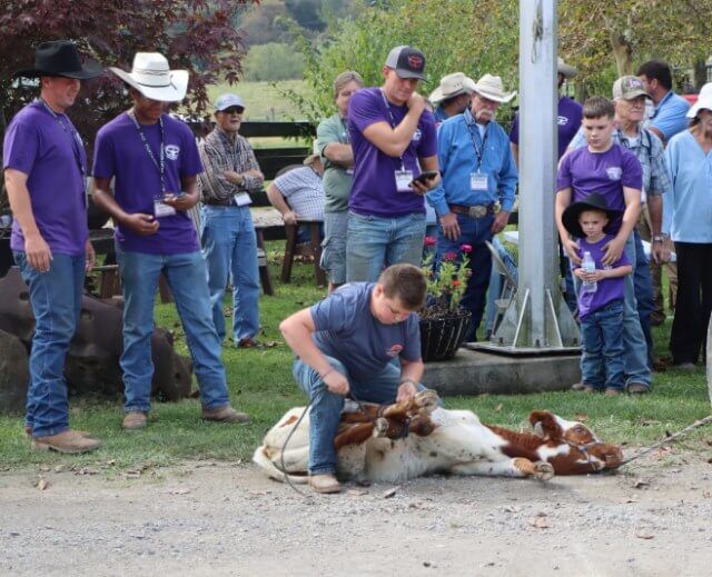 Tucker Snyder was one of the first in line to practice hog tying. This is the beginning step to first-hour calf documentation and data recording. Although Tucker was successful, on others the calf won.