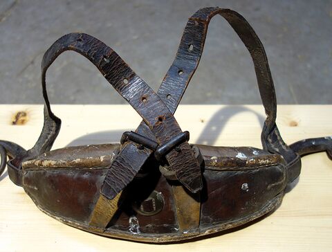 Verlauf der Hornriemen