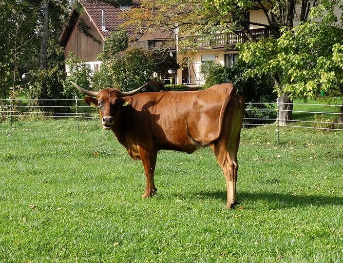 2025: Bin ich nicht hübsch??