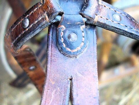 Schwanzriemen mit Ring für Strangträger