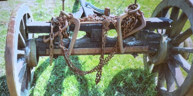 Holzrücken "Australian Style"