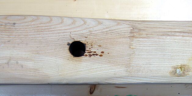 Jochbaum für australisches Widerristdoppeljoch, Bogenbereich von oben