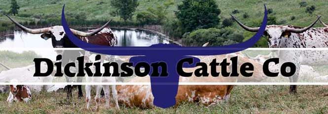 Used courtesy of Dickinson Cattle Co. USA