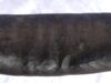thüringisches Stirnjoch aus Crawinkel von Polsterseite betrachtet