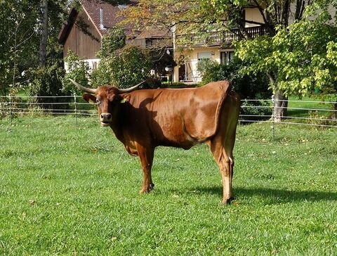 2025: Bin ich nicht hübsch??