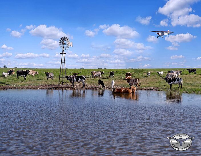 The Texas Longhorn Celebrity Calendar publishers diligently sought out 15 colorful graphics for the 2026 publication. This is Crist Ranch in Kansas. The Texas Longhorn Celebrity Calendar publishers diligently sought out 15 colorful graphics for the 2026 publication. This is Crist Ranch in Kansas.