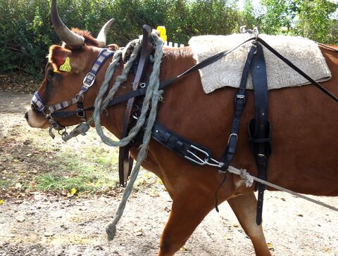 keiner hats gemerkt: das 3PK ist viel zu weit unten!