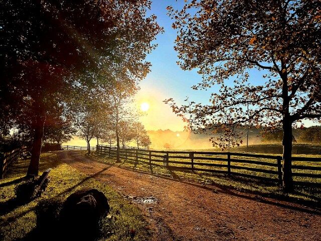 The day started at 58 degrees and the fog departed to a nice 75 degrees.