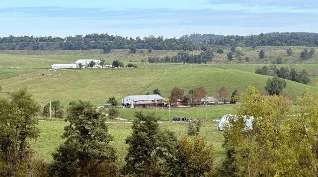 Two of the Dickinson Cattle Co facilities. The upper working corals and lower store and offices.