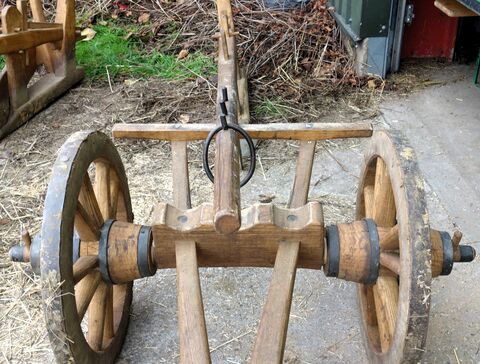 Arl von vorn mit Pflugkarren